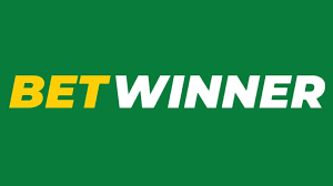 BetWinner Withdrawal Options A Comprehensive Guide
